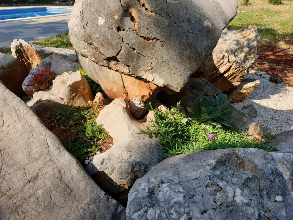 Olive Apartments อูกล์ยัน ภายนอก รูปภาพ